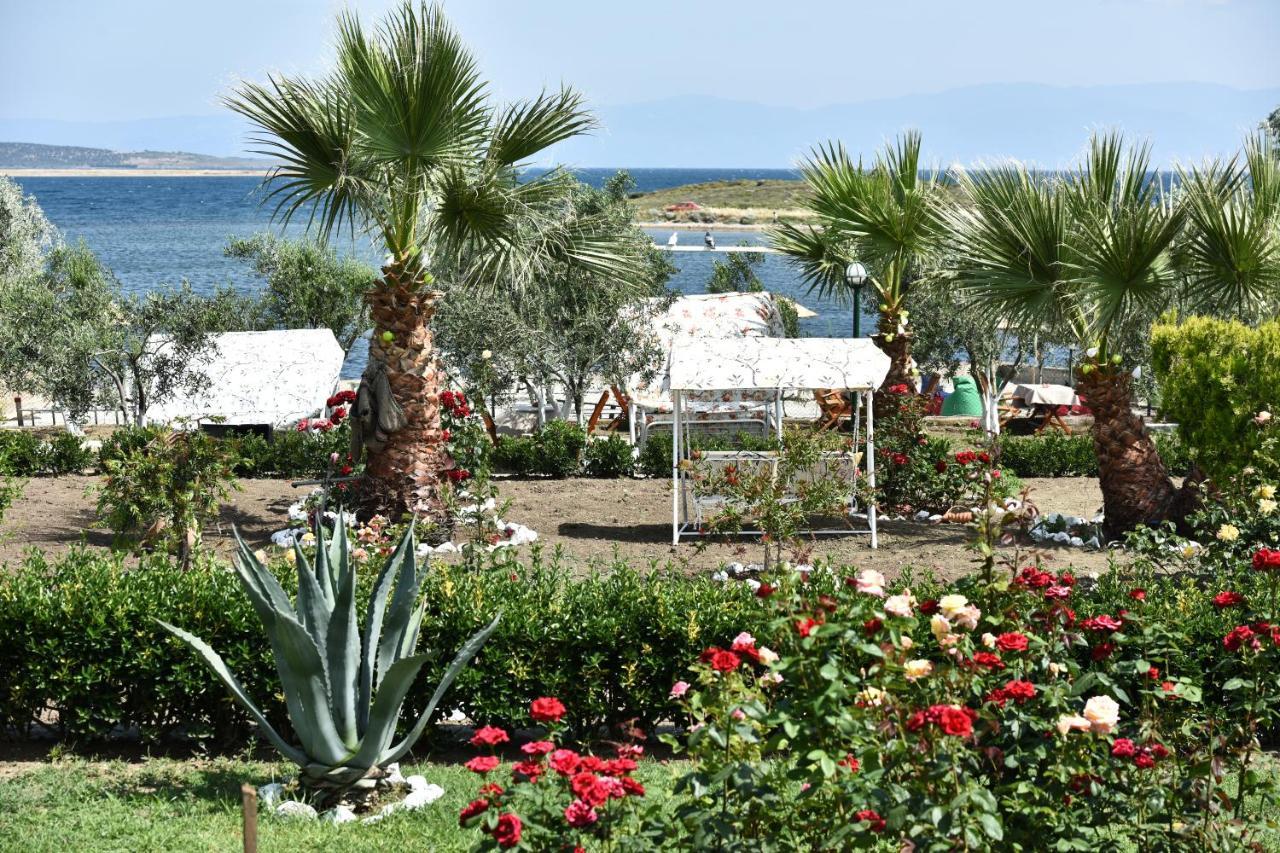 Cunda Asiyan Otel Ayvalı 外观 照片