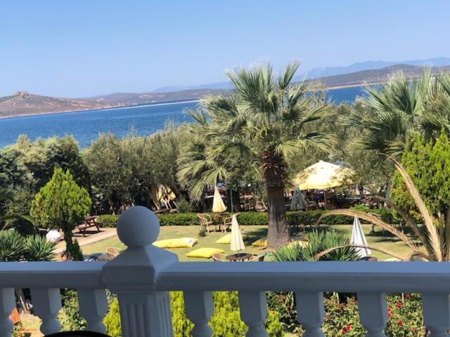 Cunda Asiyan Otel Ayvalı 外观 照片